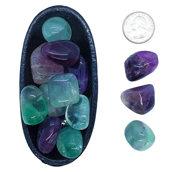 Jensen Rocks Earrings Fluorite Tumbled Protective Stabilizes Energy