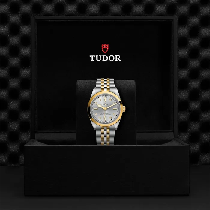 TUDOR Rings Black Bay 36 SG