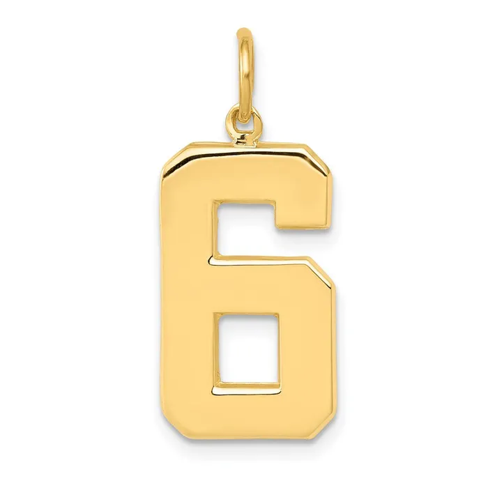 14k Yellow Gold Large Polished Number 6 Charm Goldia Charm Necklaces