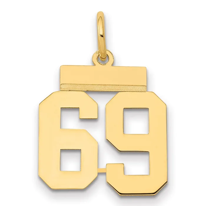 14k Yellow Gold Small Polished Number 69 Charm Goldia Charm Necklaces