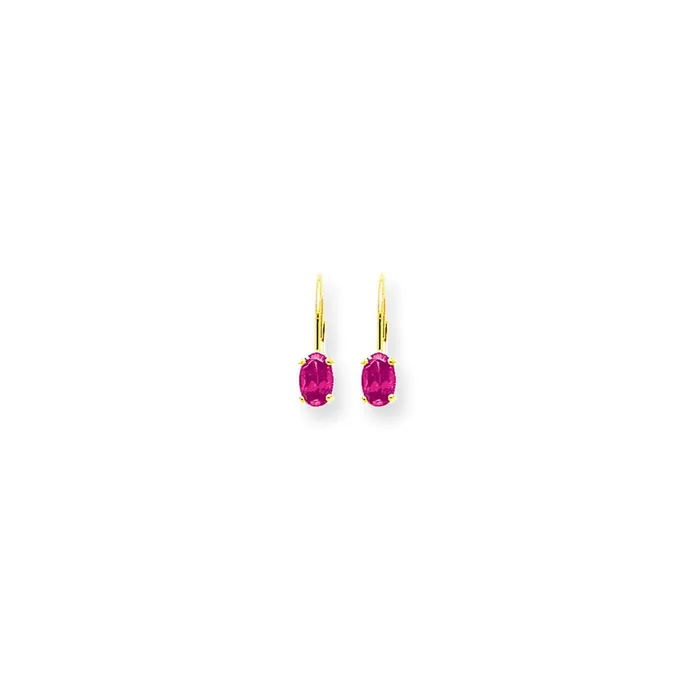 Earrings Goldia 14k Yellow Gold 6x4mm Oval Pink Sapphire leverback Earrings