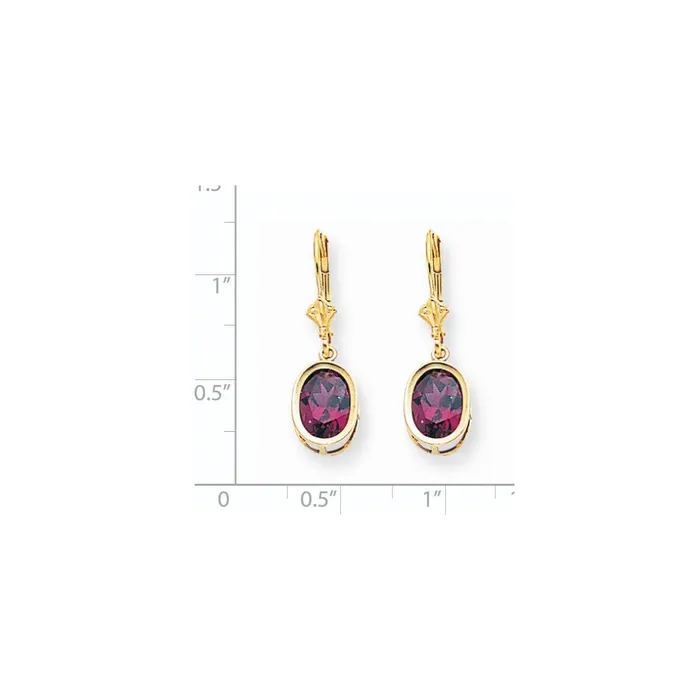 Goldia Earrings 14k Yellow Gold 9x7mm Oval Rhodolite Garnet Leverback Earrings