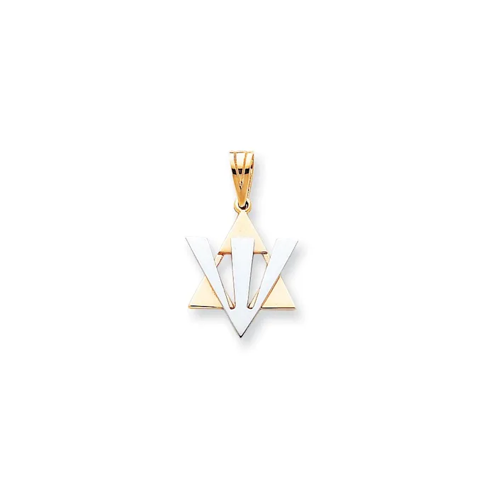 Necklaces 14k Twotone Gold Fancy Star of David wShin Pendant Goldia
