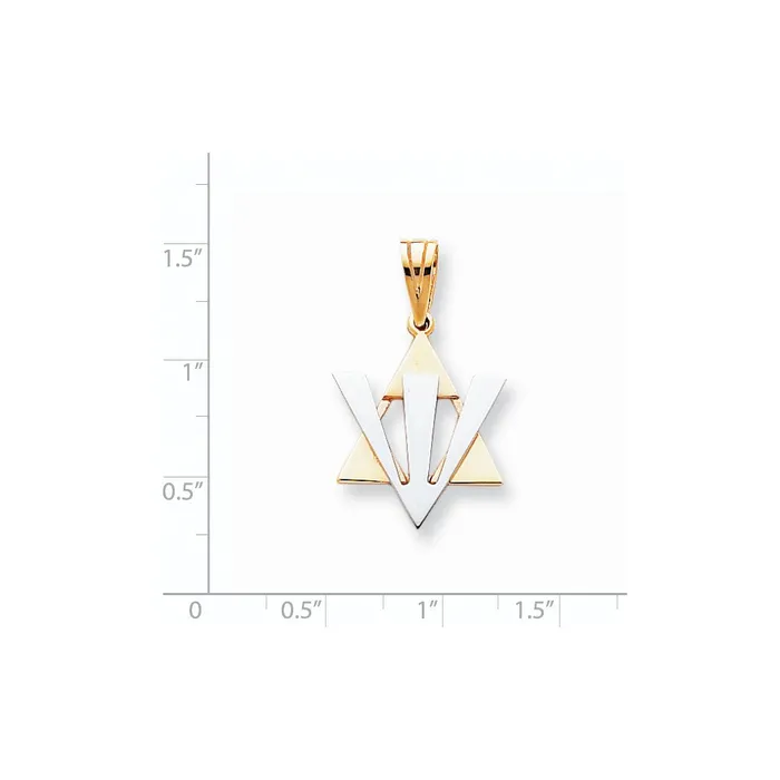 Necklaces 14k Twotone Gold Fancy Star of David wShin Pendant Goldia